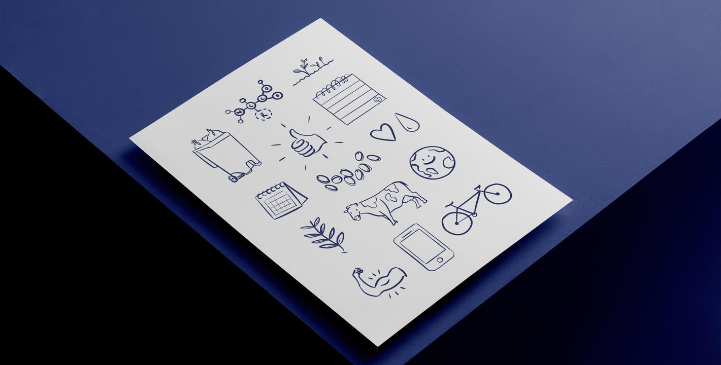 Ilustraciones